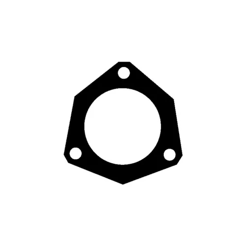 Gasket, exhaust pipe (Exhaust System)