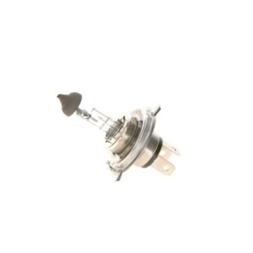Light - ECO - 12 V - H4 - 60/55 W - P43t