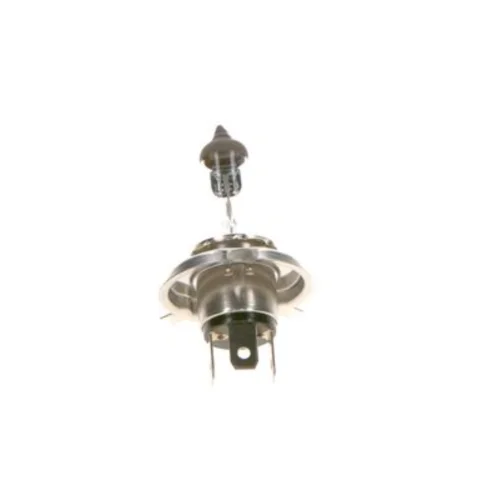 Light - ECO - 12 V - H4 - 60/55 W - P43t