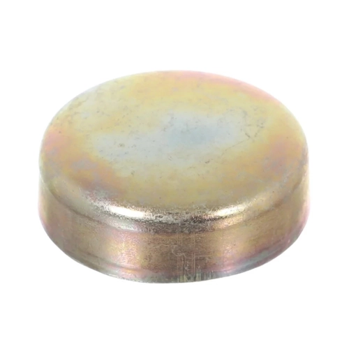 Frost Plug