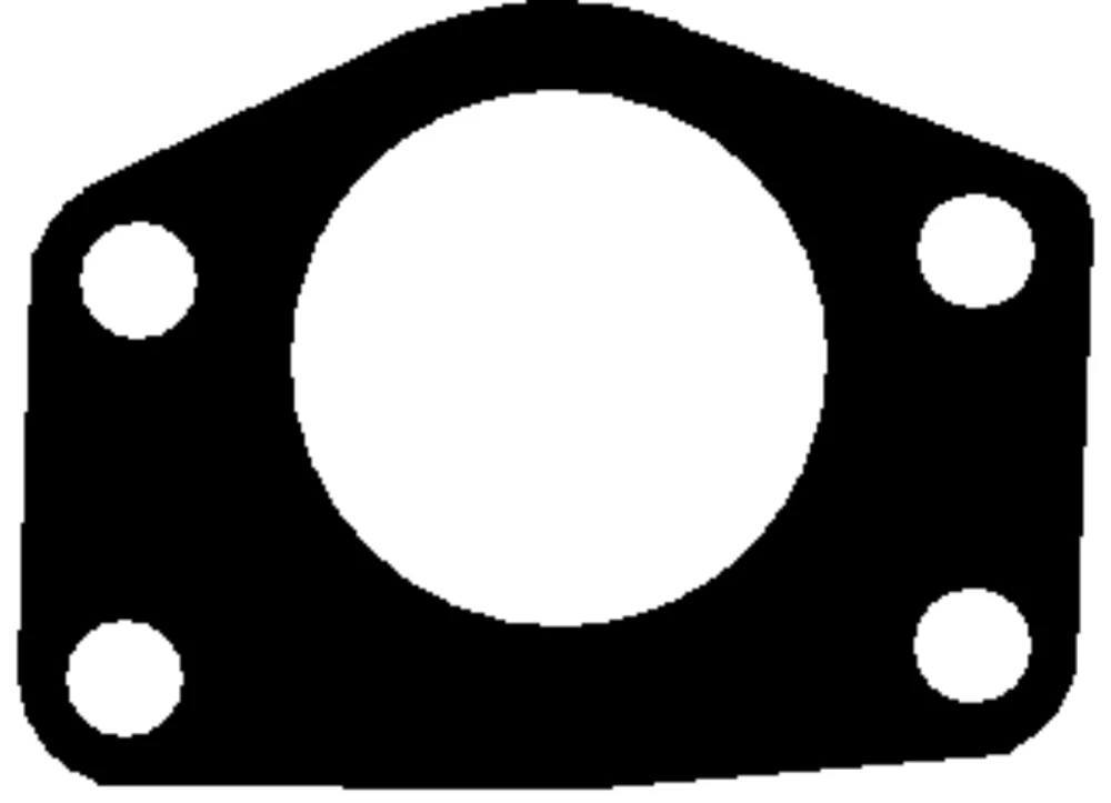 Gasket Exhaust Manifold