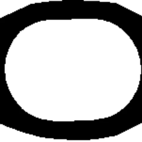 Gasket, exhaust manifold (Cylinder Head)