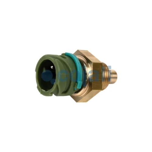 Temperature Sensor