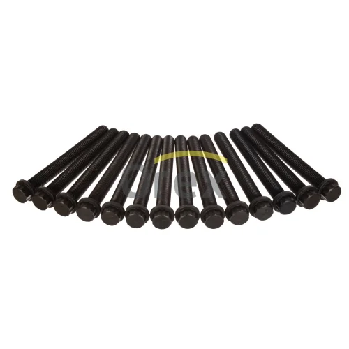 Cylinder Head Bolt (25 pcs)