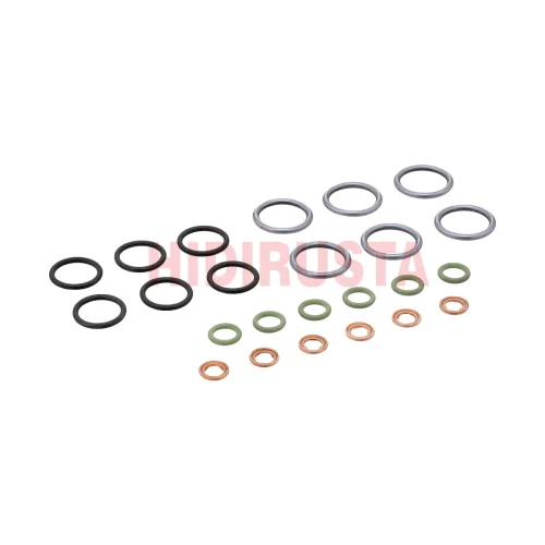 Enjektör Oring Takımı (1 araç için)