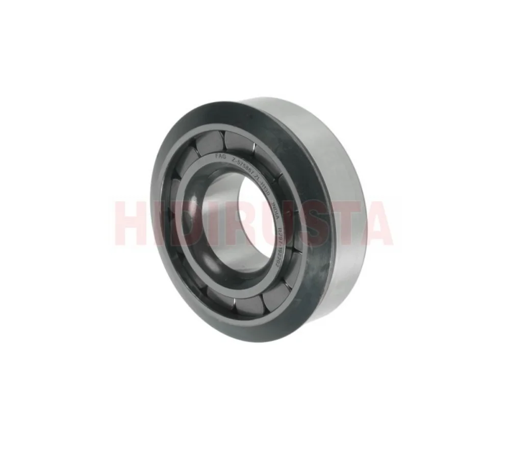 Rulman 326120