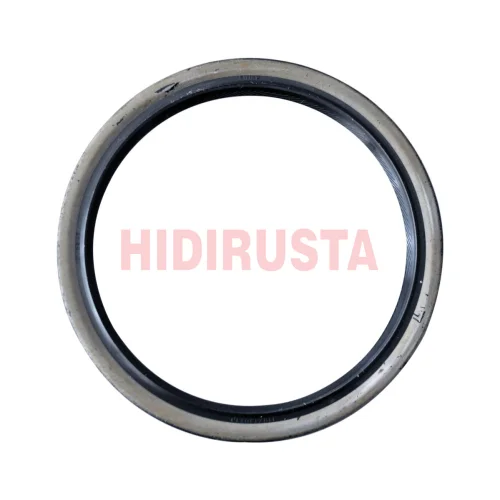 Seal Ring (Standard Parts)