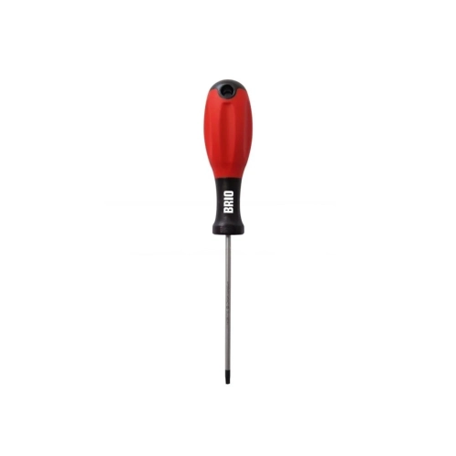 Tornavida Torx T10