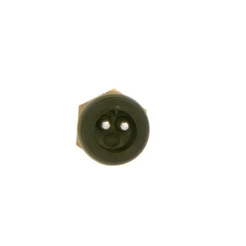 Sensor, fuel temperature (Mixture Formation)