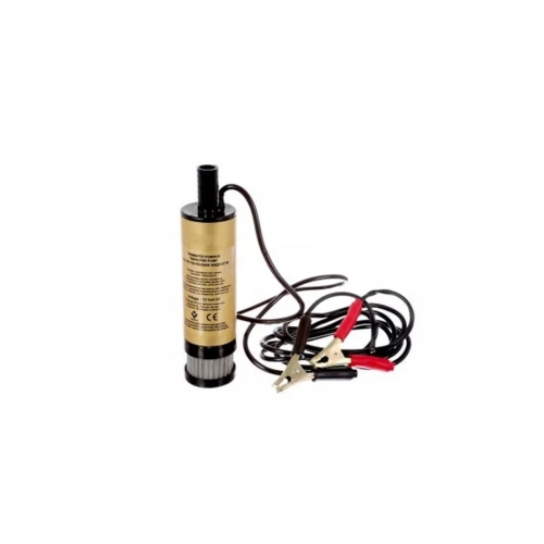 Fuel Transfer Pump with Filter, 12V