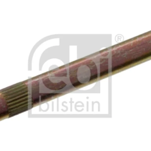 Spring Retaining Pin, Brake Shoe (Braking System)