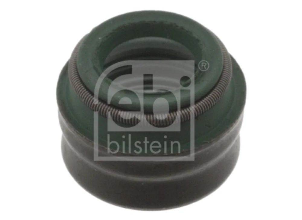 Valve Seal
