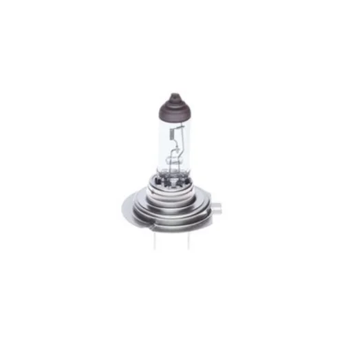 Bulb