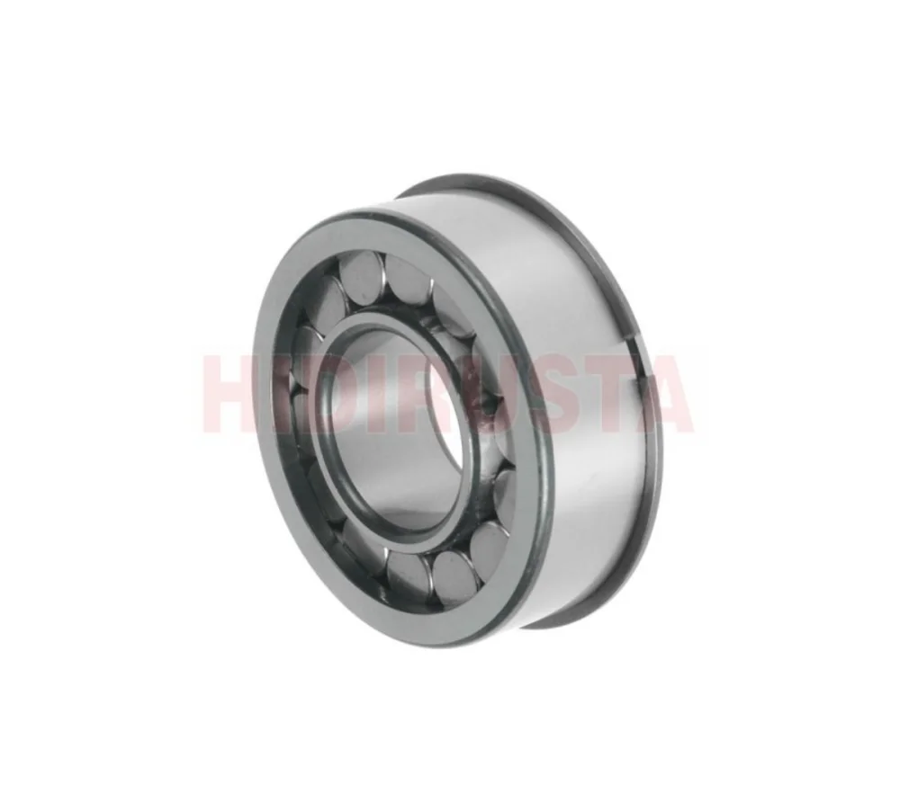 Diferansiyel Mahruti Dip Rulmanı (100 X 45 X 36) Scania R780/885