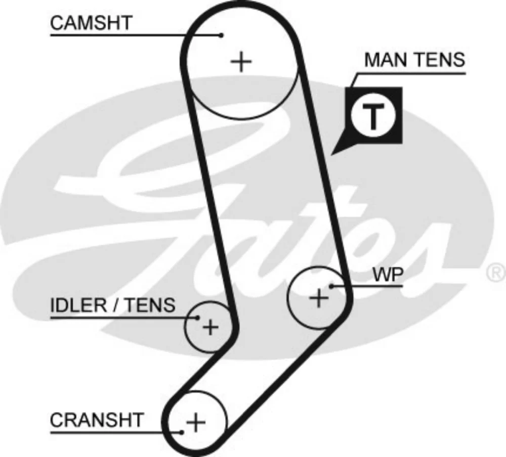 Cam Set