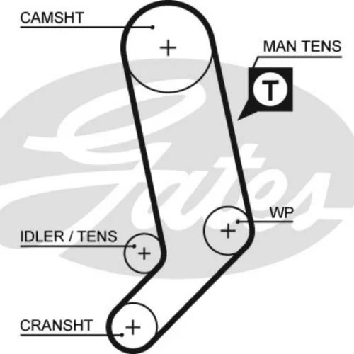 Cam Set