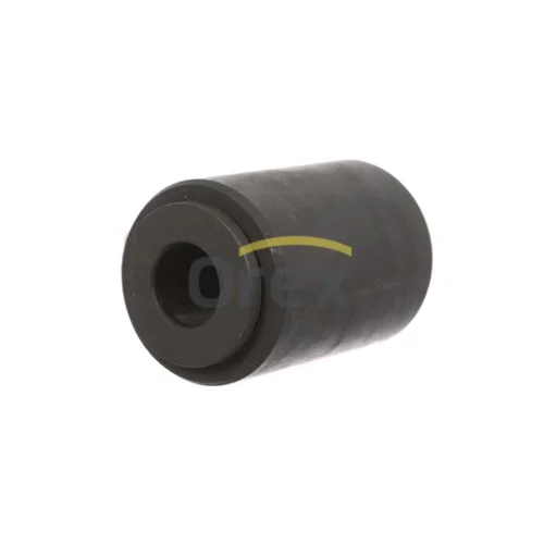 Bush, leaf spring