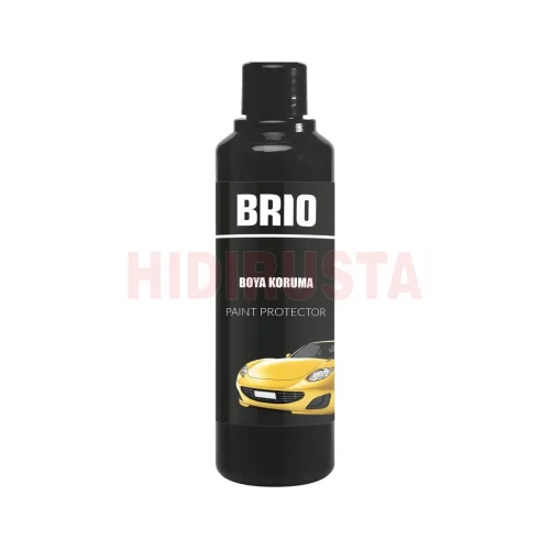 Paint Protector 250 Ml