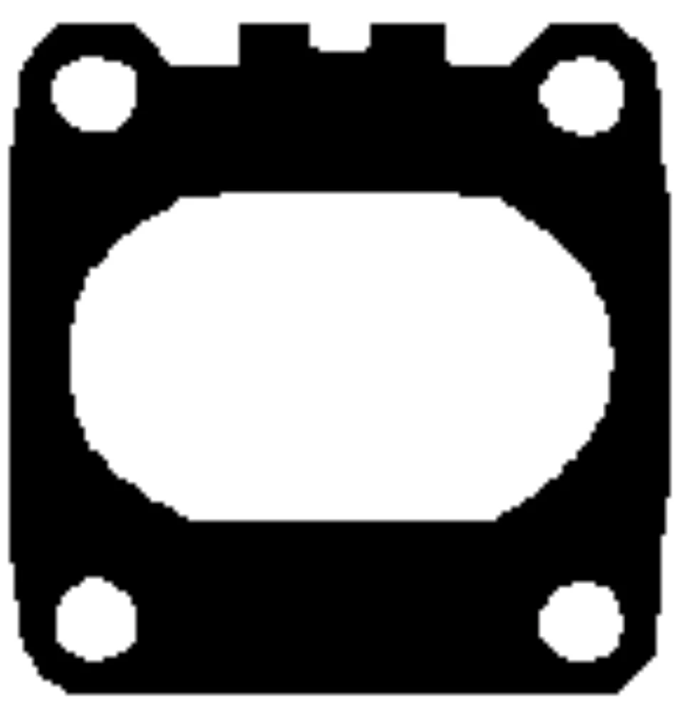 Gasket, exhaust manifold (Cylinder Head)