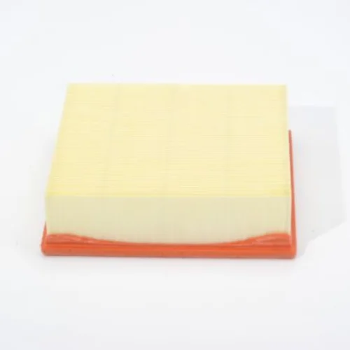 Air Filter (Air Supply)