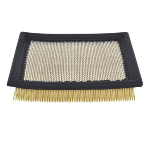 Air Filter (Air Supply)