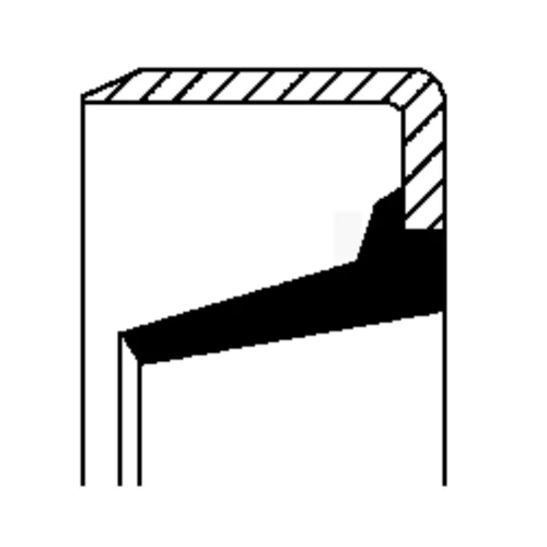Seal Ring