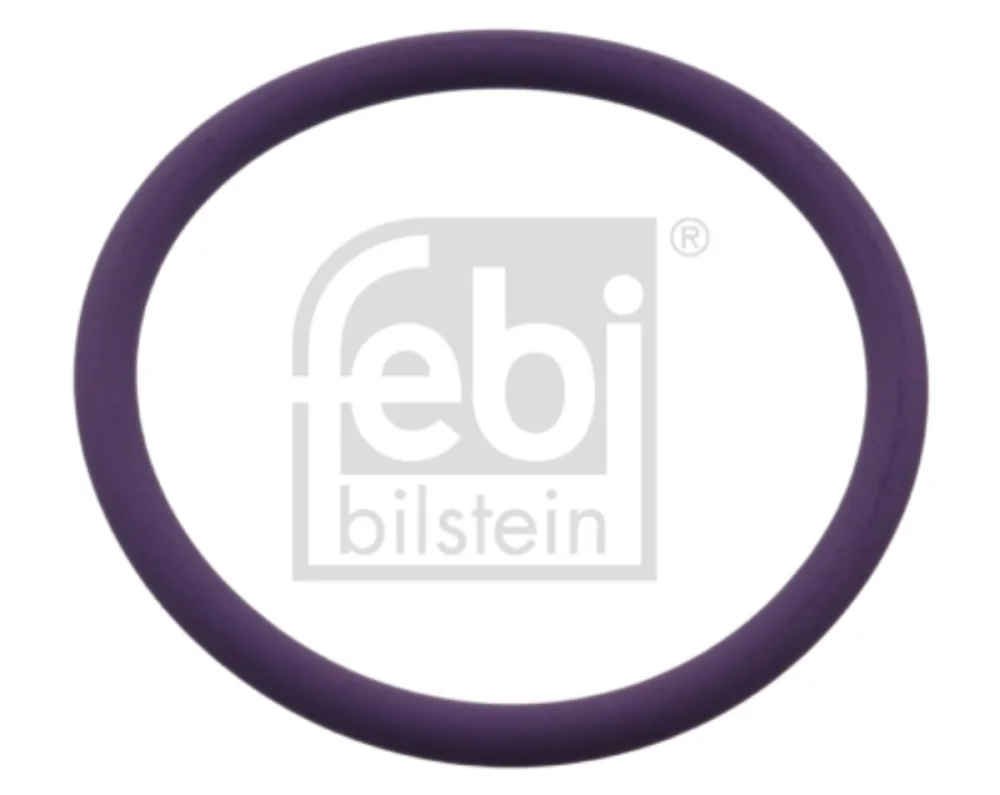 O-Ring