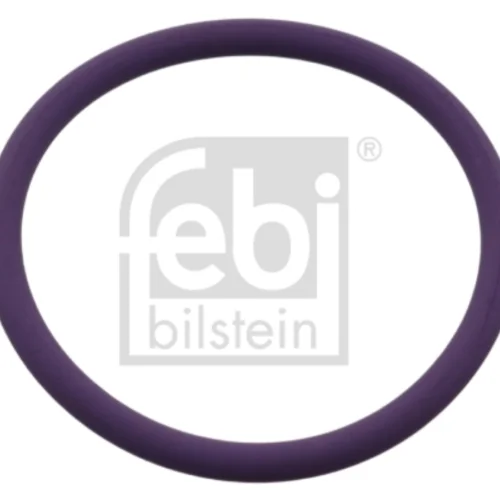 O-Ring