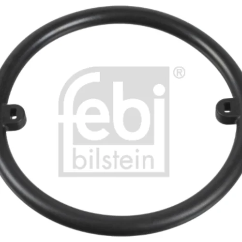 Seal Ring