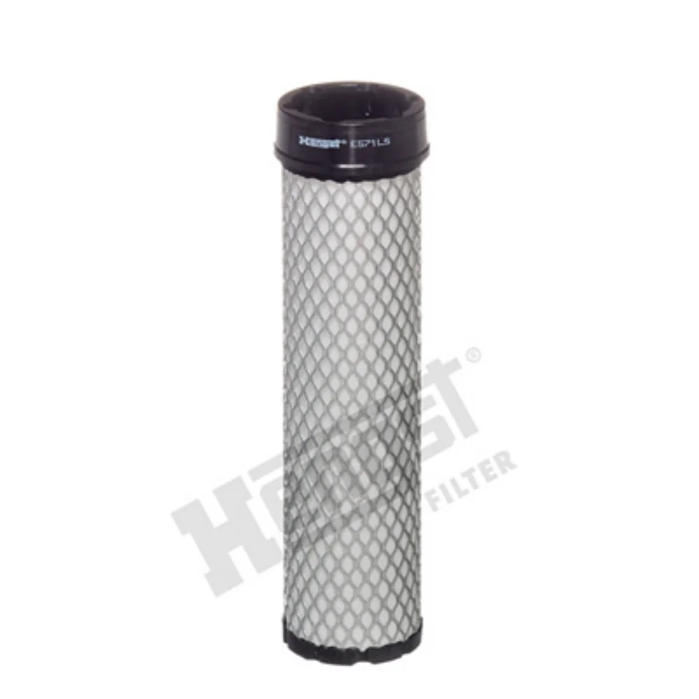 Secondary Air Filter (Air Supply)