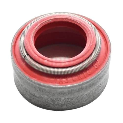Valve Seal