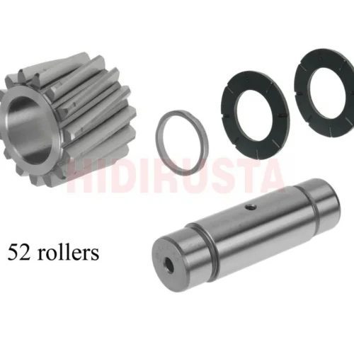 DIFFERENTIAL PLANET BEARING