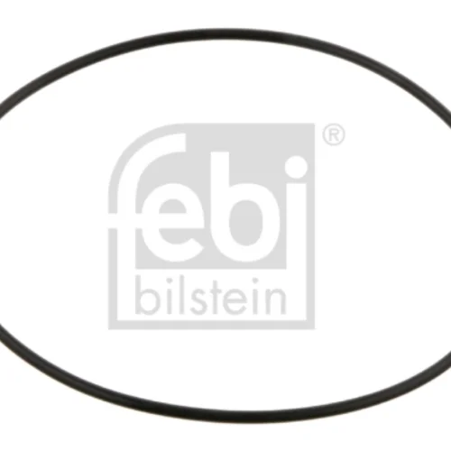 O-Ring