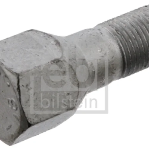 Bijon