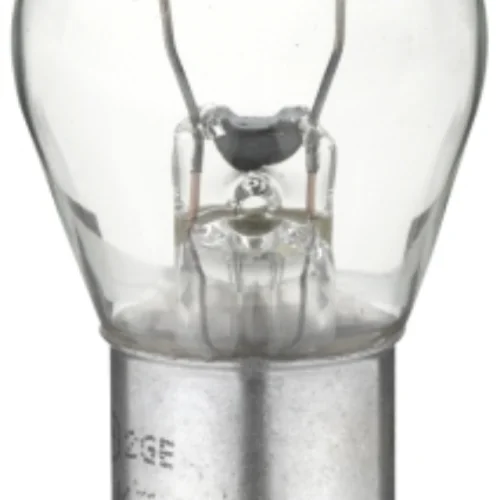 Bulb 21W 24V