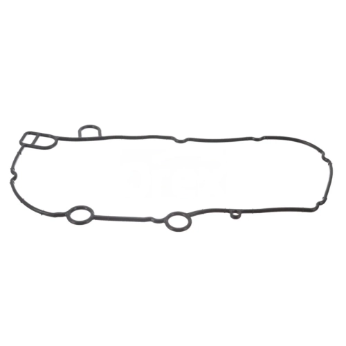 Seal, Oil Cooler