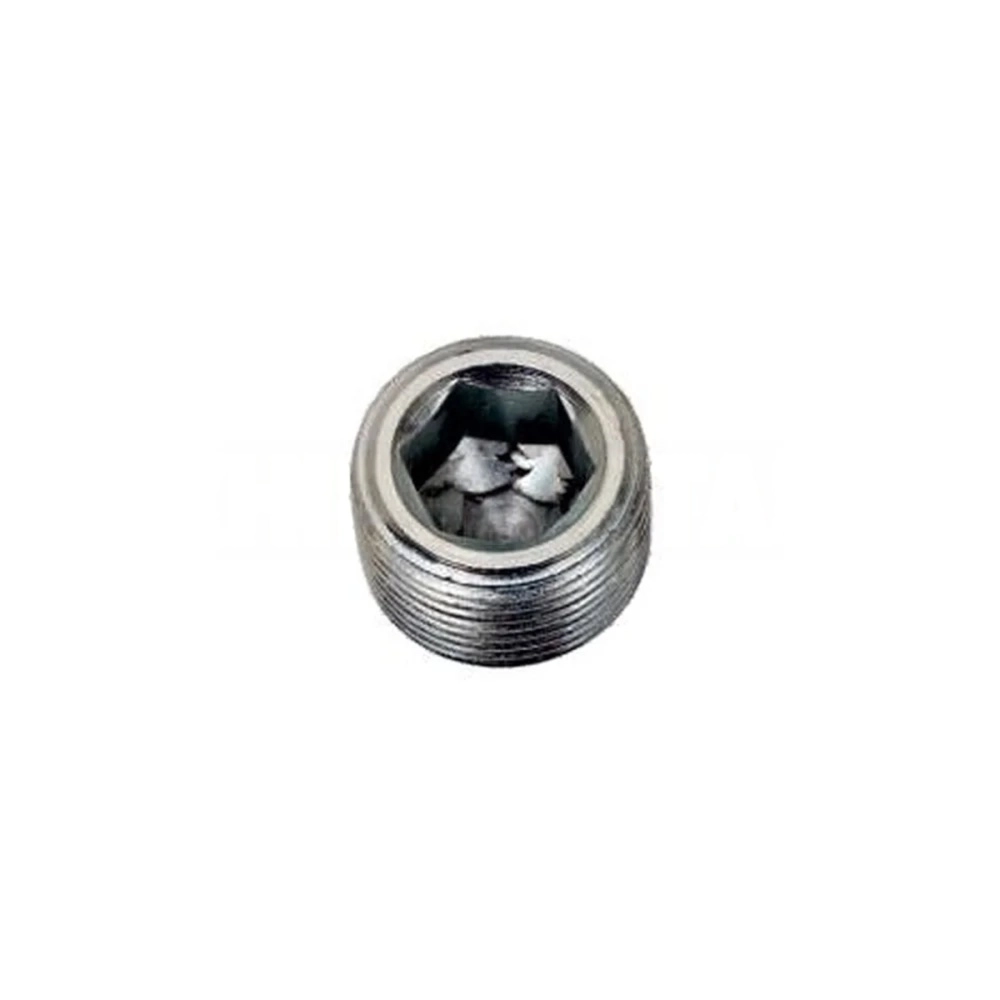 Oilpan Plug 55189930 Fiat Albea
