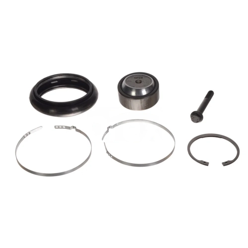 Repair Kit, Guide Strut