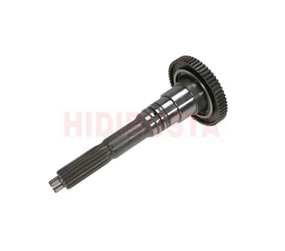 Input shaft