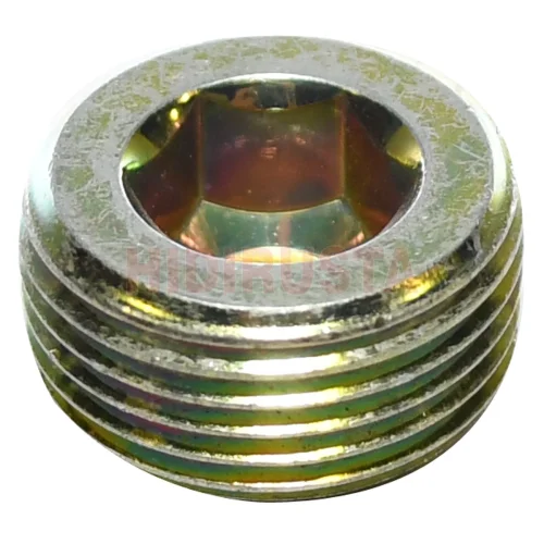 SCREW PLUG