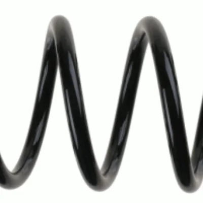 Coil Spring (Suspension/Damping)