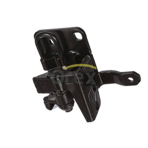 Door Hinge (L)