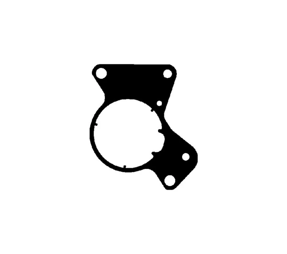 Fuel Pump Gasket  Transporter