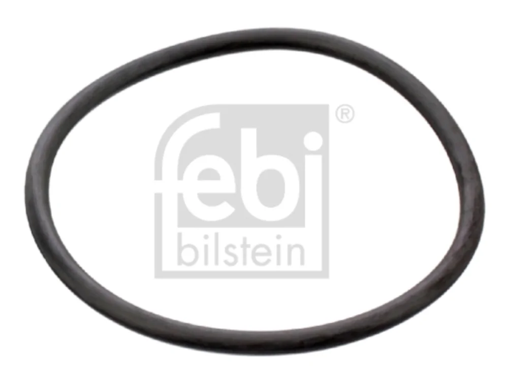 O-ring