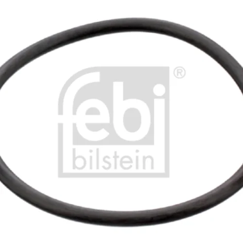 O-ring