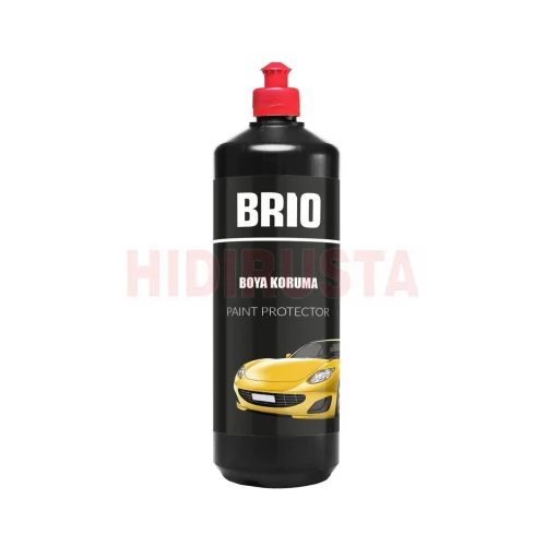 Paint Protector 1 L