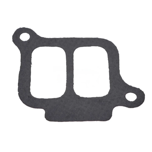Gasket, Intake Manifold
