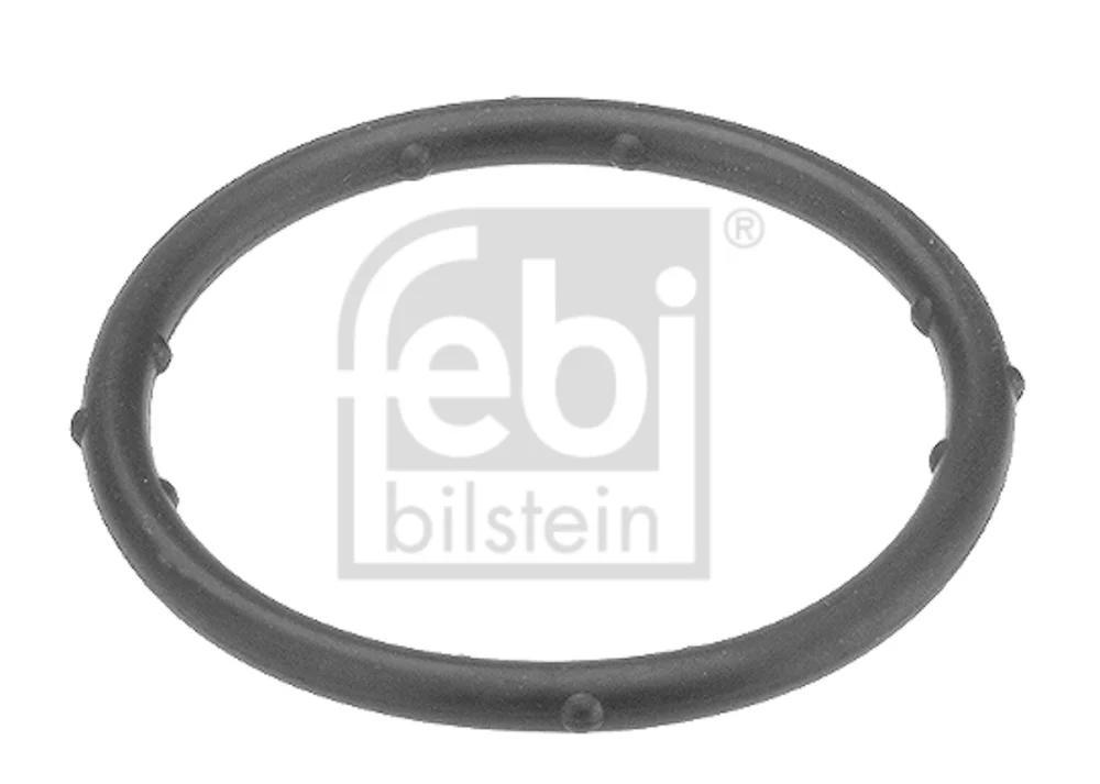 Seal Ring