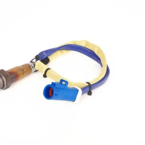 Sensor