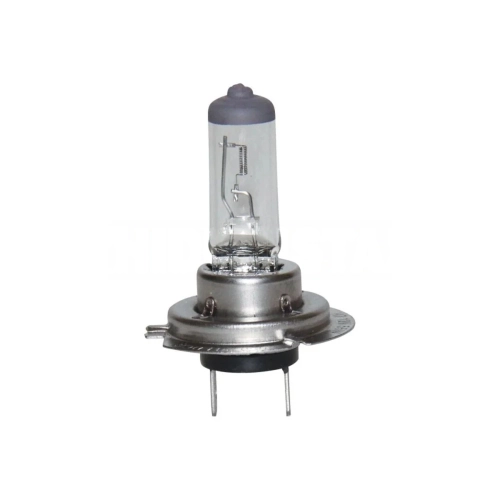 Halogen Bulb H7 12V 55 Watt 64210